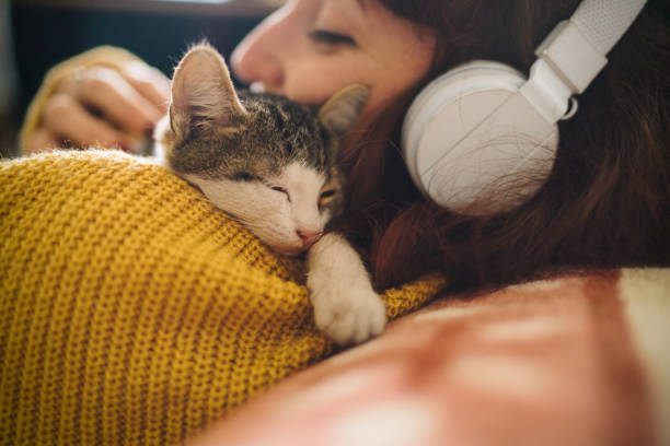 自宅の猫とリラックスする少女 - pets embracing one person portrait ストックフォトと画像