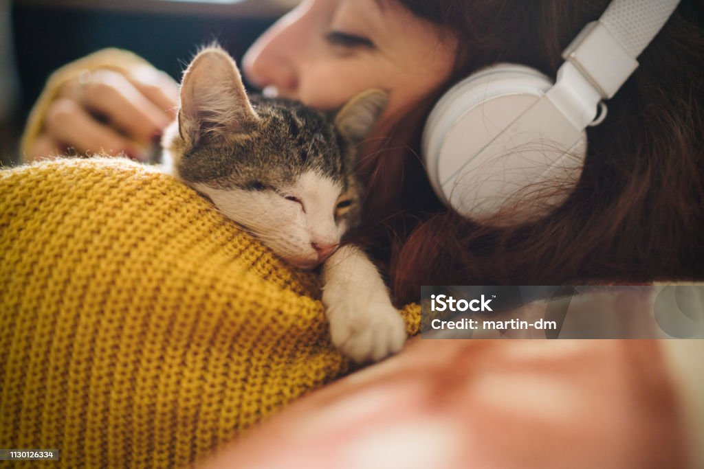 Relaxed girl with cat at home Woman at home listening to music with kitten napping on her shoulder Domestic Cat Stock Photo
