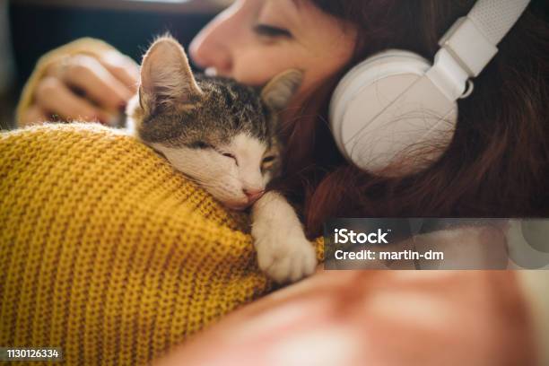 Relaxed Girl With Cat At Home Stock Photo - Download Image Now - Domestic Cat, Embracing, People
