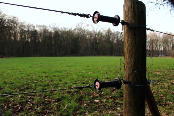 handgriffe - wald stok fotoğraflar ve resimler