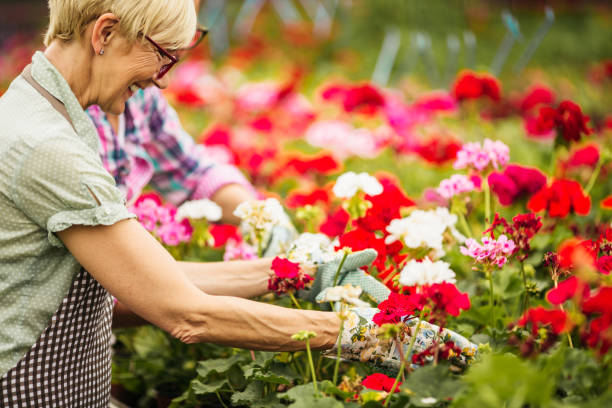 istock Florists working at botanical garden 1130129768