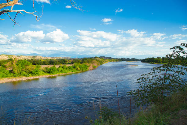 vista del río magdalena - magdalena photos et images de collection