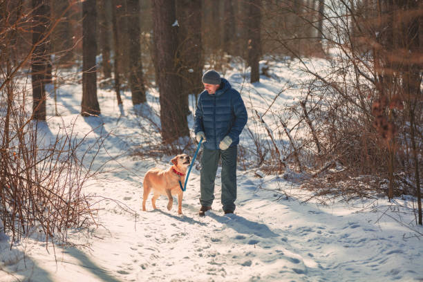 istock A man with a dog on a leash walking on the snowy winter pine forest 1130133339