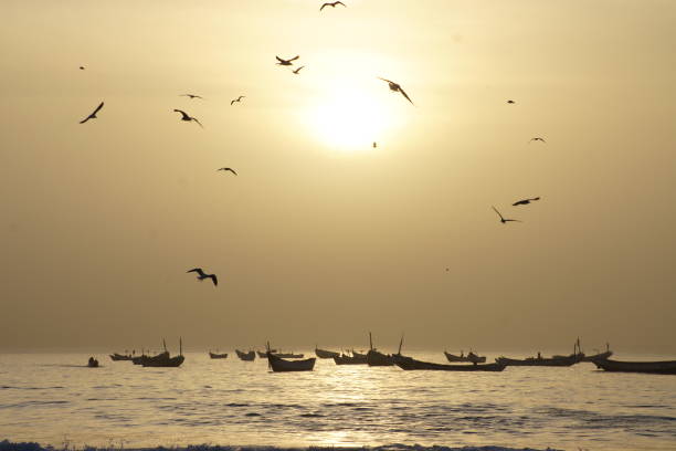 istock Mauritanian fishing boats 1130133656