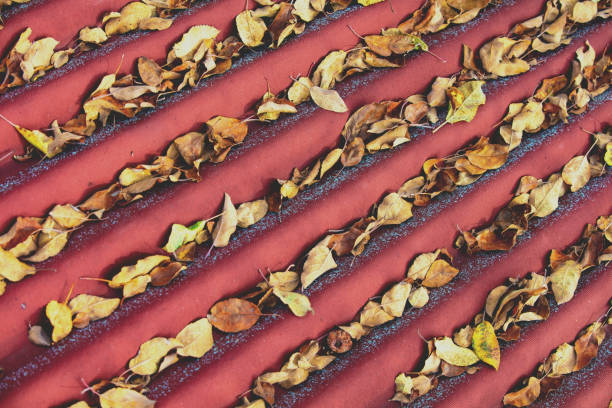 Fallen leaves on the wavy roof. Autumn background