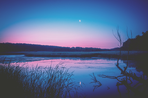 Magical purple sunrise over the lake. Misty morning, rural landscape, wilderness