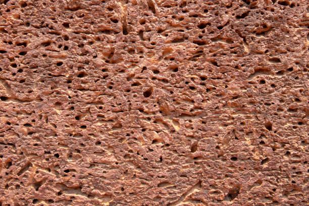 다공성 사암 표면입니다. 고 대 자연적인 돌의 거친 짜임새입니다. 돌 근접 촬영을 풍 화. 소박한 지저분한 표면 사진 - red sandstone audio 뉴스 사진 이미지