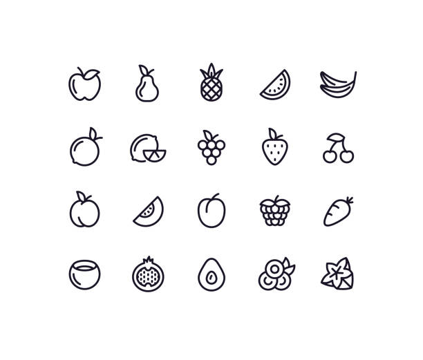 ilustraciones, imágenes clip art, dibujos animados e iconos de stock de iconos de contorno de fruta - fruit apple orange lemon