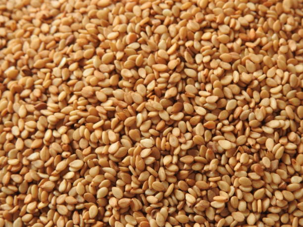 sesame - sesame plant africa agriculture imagens e fotografias de stock