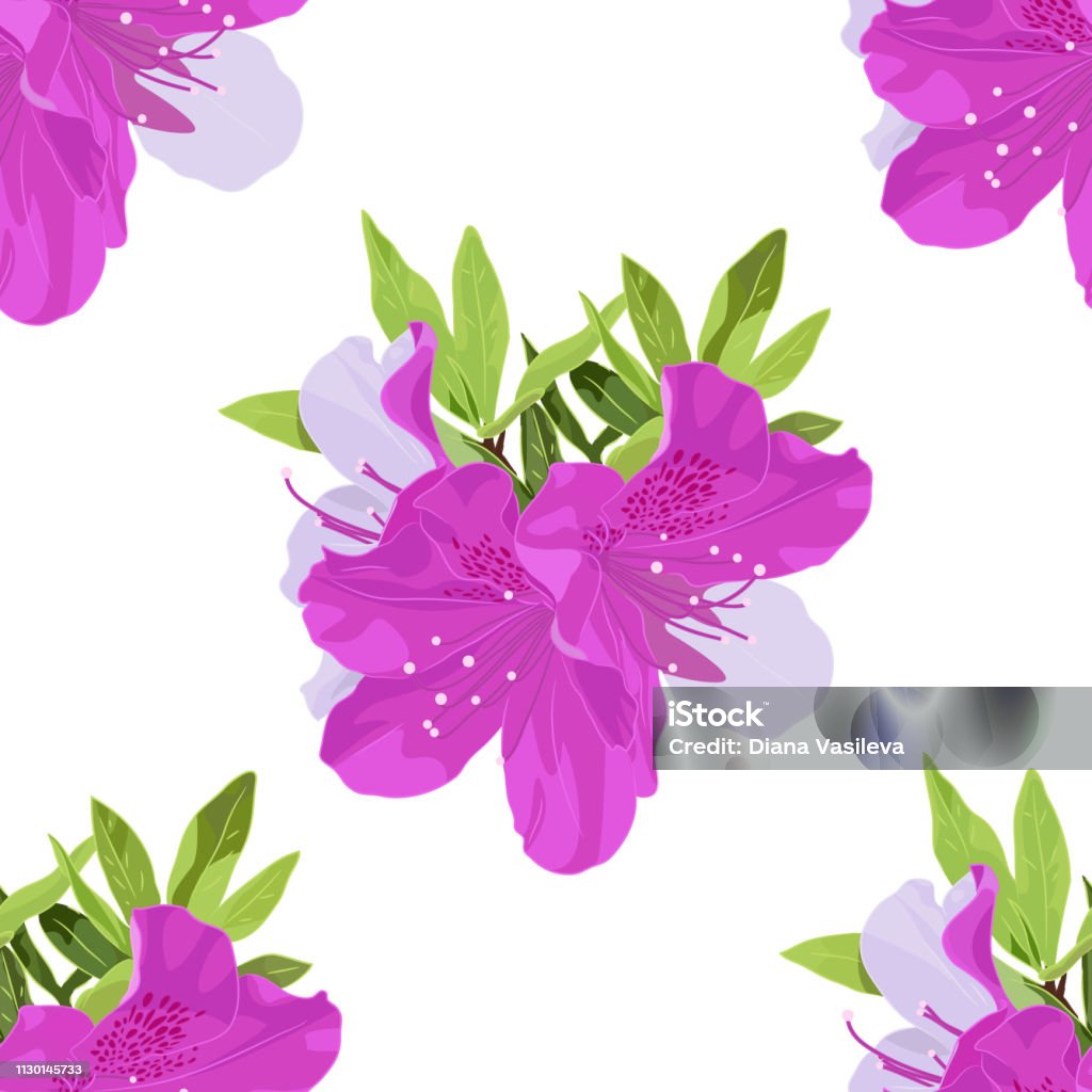 Azaela Pattern Vector Pattern Of Dwarf Korean Azalea With Leafs Stock Illustration ...