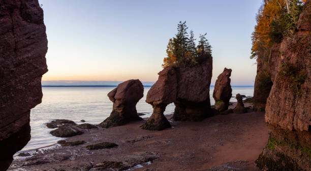 호프 웰 - bay of fundy 뉴스 사진 이미지