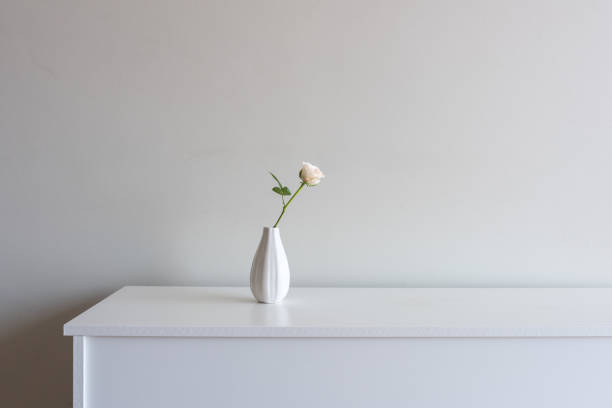 백인 찬에 단일 창백한 핑크 로즈 - roses in a vase 뉴스 사진 이미지