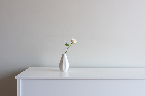 Close up of single pale pink rose in small vase on white sideboard against neutral wall background with copy space to right