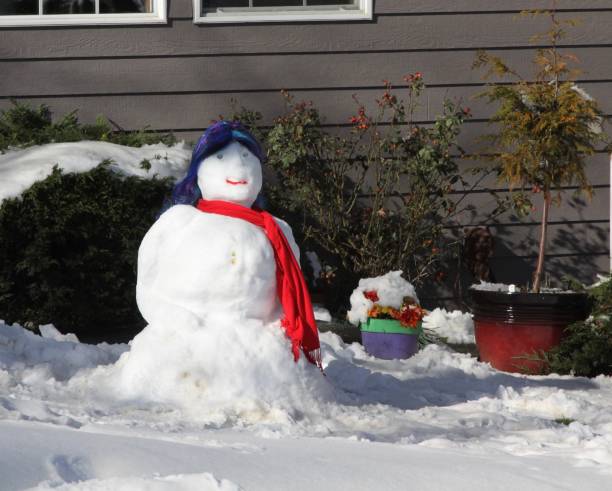 istock Snowman With Red Scarf and Blue Hat 1130158657
