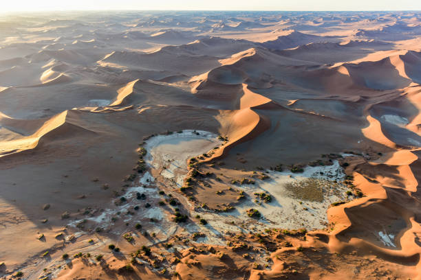 istock Namib Sand Sea - Namibia 1130164388