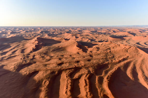 istock Namib Sand Sea - Namibia 1130164673