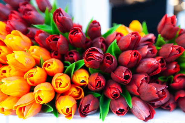 Kleurrijke plastic tulpen in Volendam