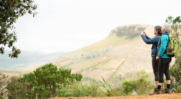 Hyrax is the elephant's relative. Now is relaxing on the stone.
