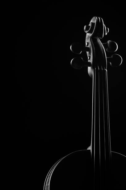 istock neck violin close up on a black background 1130166270