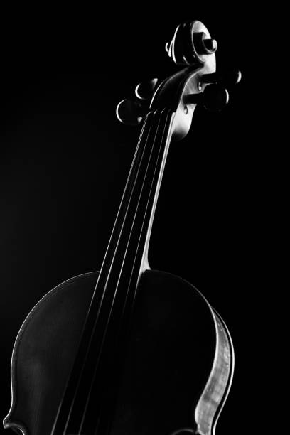 istock neck violin close up on a black background 1130166272