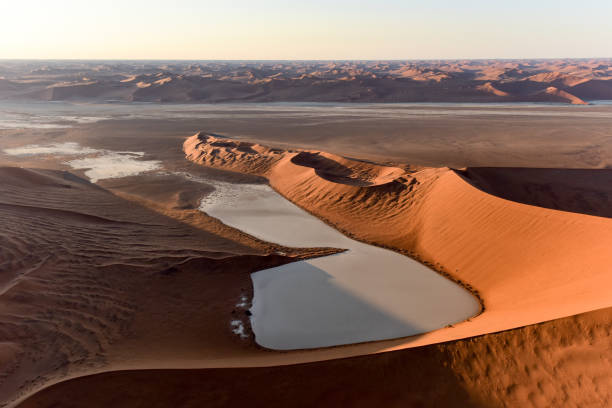 istock Namib Sand Sea - Namibia 1130167445