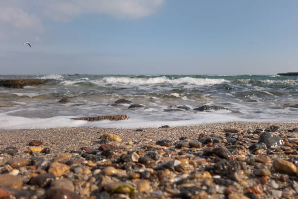 istock Seashore and the beach and the sea on a sunny spring day. 1130167761