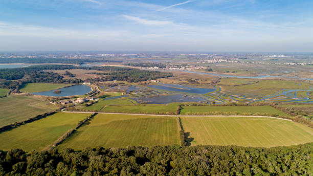 istock Bouliniere marshes and Talmont Saint Hilaire in Vendee 1130168990
