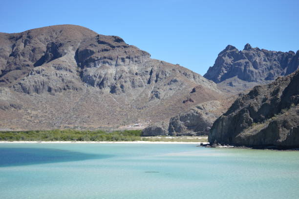 istock Rock cliff beach in La Paz 1130169014