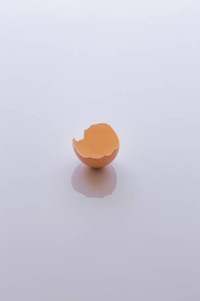 istock Broken raw egg without yellow yolk (empty, shell only) on a bright white glossy surface (background) of the kitchen table 1130169082