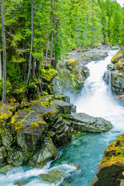 istock The area near Mt Rainier 1130176116