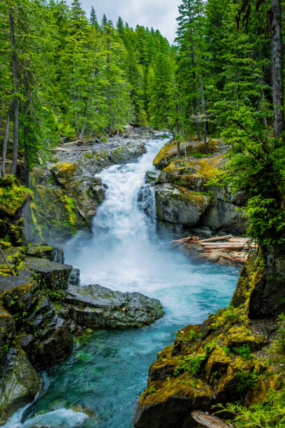 istock The area near Mt Rainier 1130176119