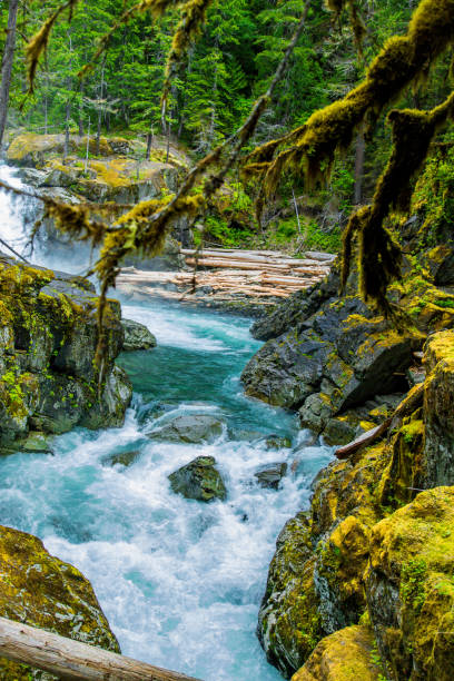 istock The area near Mt Rainier 1130176124