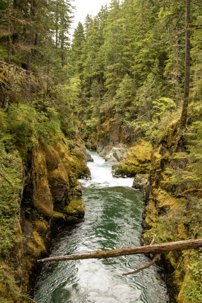 istock The area near Mt Rainier 1130176126