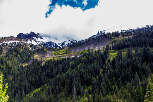 istock The area near Mt Rainier 1130176181