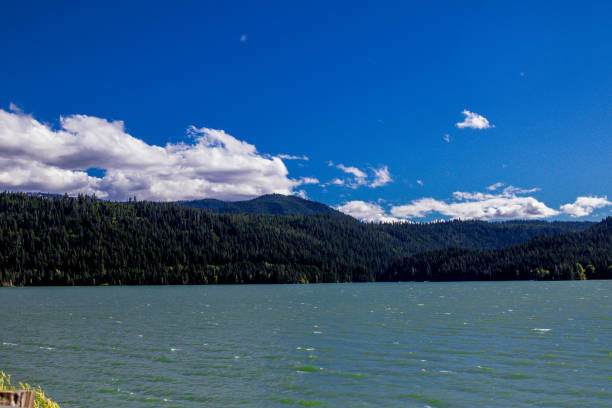 This was photographed in Mid June in Washington state