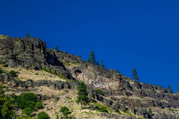 istock The area near Mt Rainier 1130176206