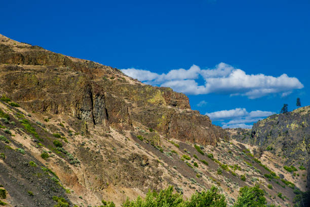 istock The area near Mt Rainier 1130176213