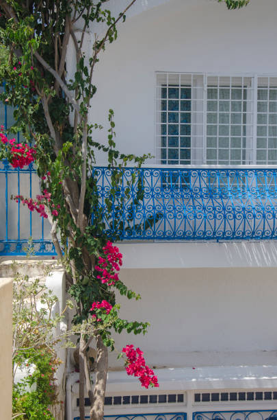 istock Bougainvillea by the balcony 1130177612