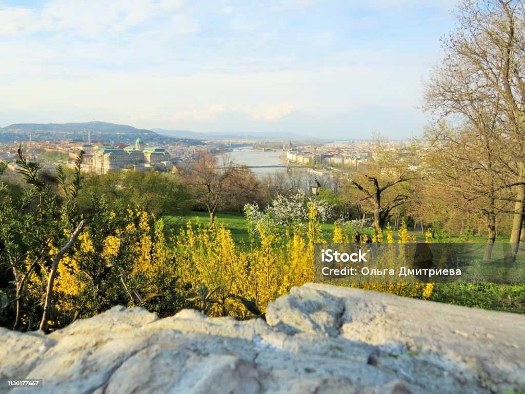 View of the Danube View from the hill to Budapest Horizontal Stock Photo