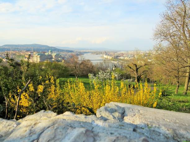 View of the Danube stock photo