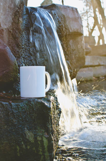 istock A mug on the rock ledge in the park pond 1130180282