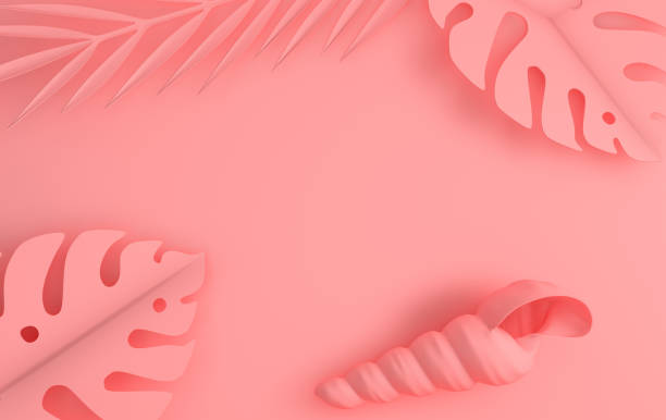 palmiers tropicaux seashell et papier feuilles sur fond rose. illustration de rendu 3d. coquille de nautile sous-marin de faune de l’océan. image de l’été pour la carte postale, bannière, carte. - vacations nature shell snail photos et images de collection