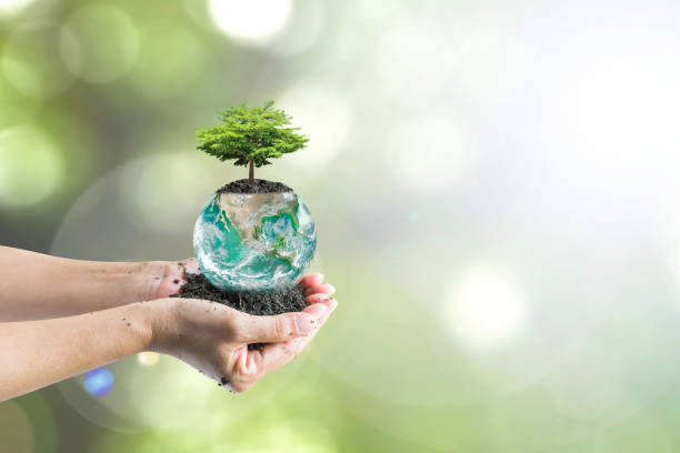 istock World soil day concept with tree planting on green globe: Elements of this image furnished by NASA 1130187563