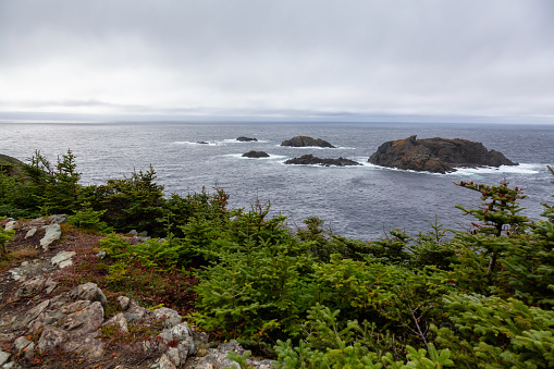 Beautiful landscape view of a Rocky Atlantic Ocean Coast during a cloudy day. Taken in Sleepy Cove, Crow Head, Twillingate, Newfoundland, Canada.