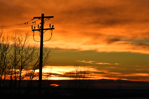 A silhouette image of a power line at sunset.