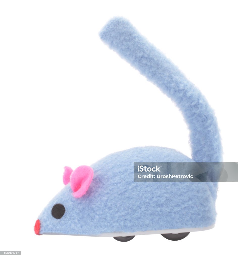 Đồ Chơi Chuột Cho Thú Cưng Mèo Có Bánh Xe Hình ảnh Sẵn có - Tải ...