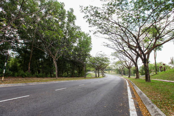 istock Empty Road in Suburban Area 1130202797