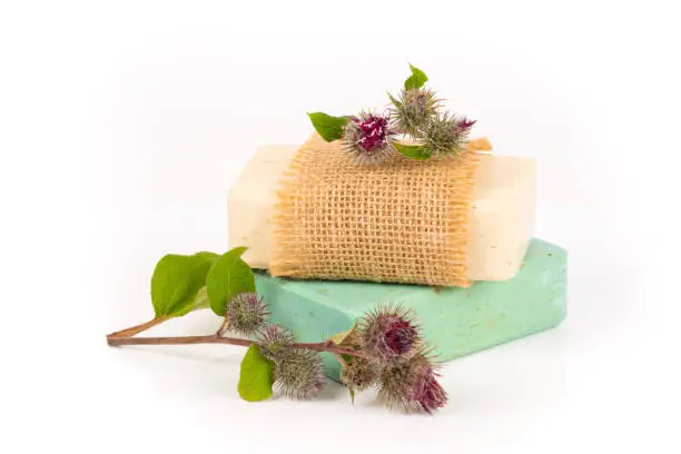 green and beige homemade herbal soap bars with burdock flowers