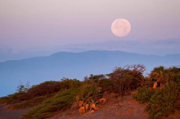 istock Sundown on Bani Dunes Dominican Republic 1130214711
