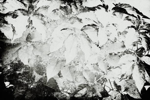 istock Grim grunge background. Monochrome abstract texture. Vintage old surface in scratches and chips 1130218351